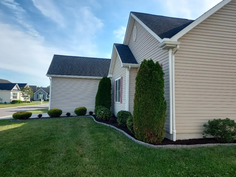 Before full lawn renovation in Maryland